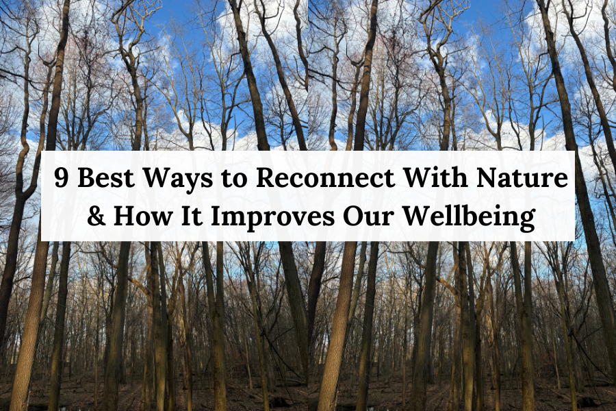 how to reconnect with nature