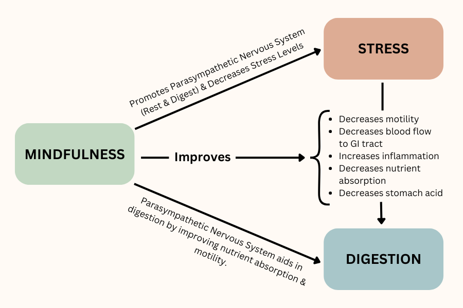 mindful eating benefits digestion